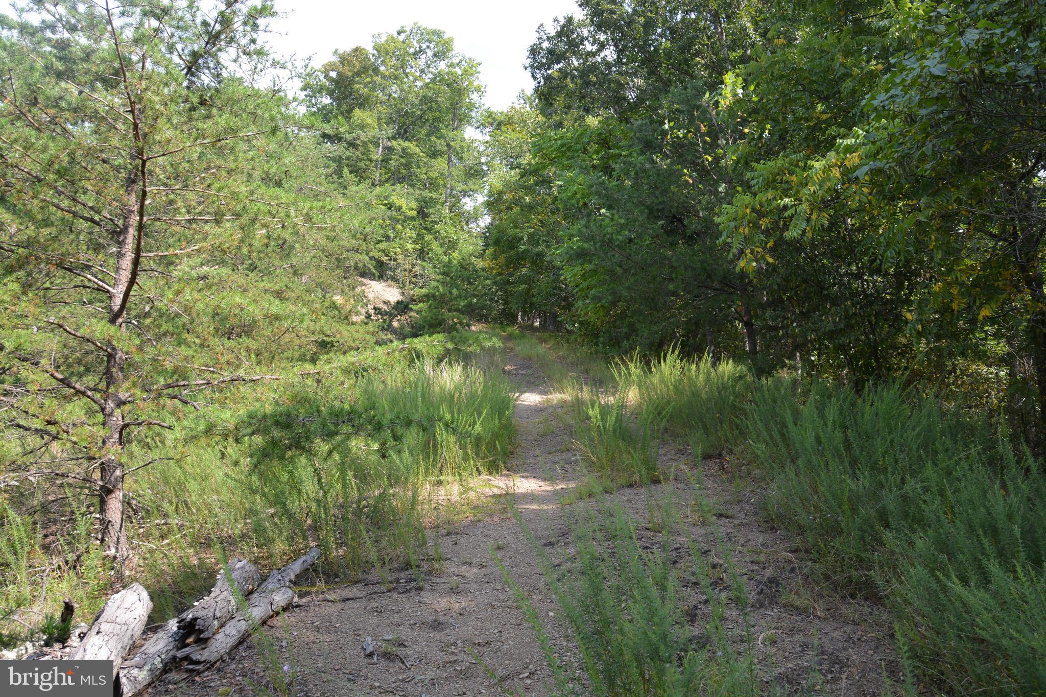 Brush Creek Road, Unit 30 Winchester, VA 22603 - Photo 2 of 39 a view of a yard