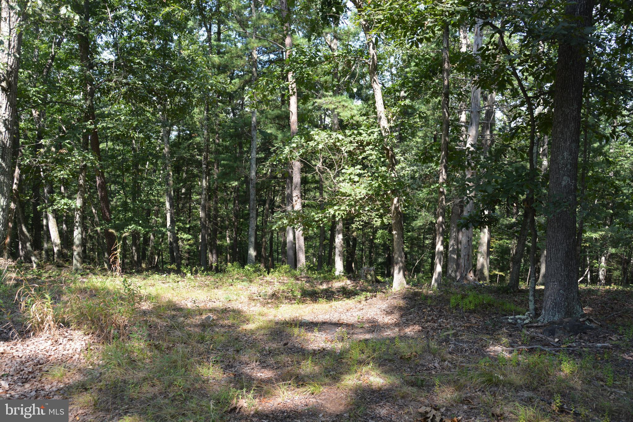 Brush Creek Road, Unit 30 Winchester, VA 22603 - Photo 27 of 39 a view of outdoor space with trees