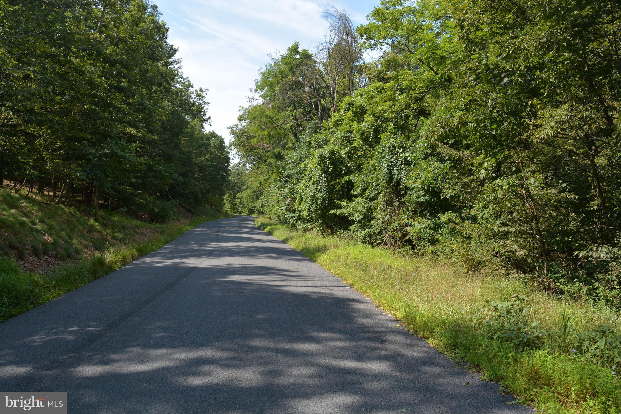 Brush Creek Road, Unit 30 Winchester, VA 22603 - Photo 31 of 39 a view of a pathway of a yard with plants and large trees
