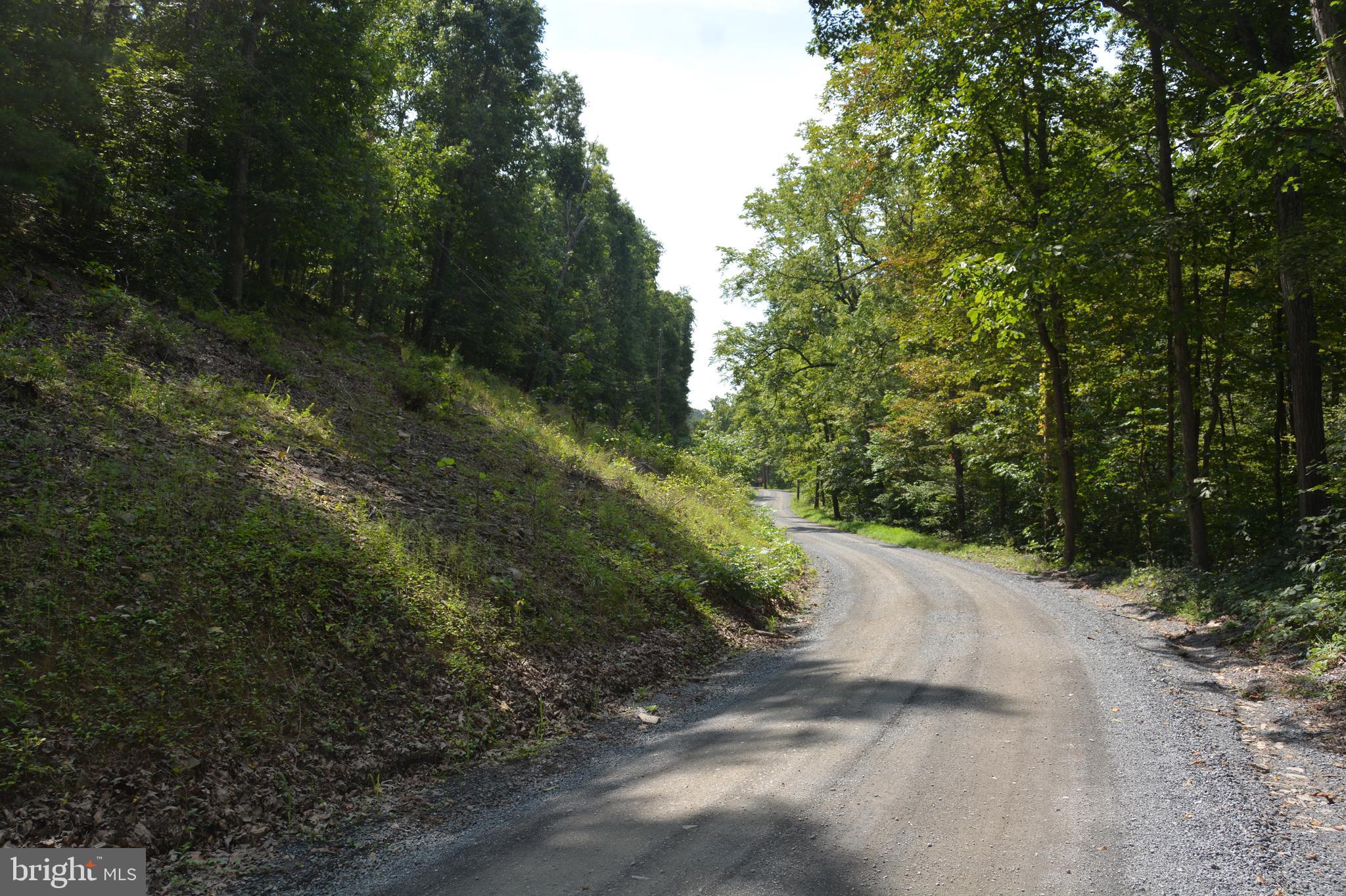 Brush Creek Road, Unit 30 Winchester, VA 22603 - Photo 32 of 39 a view of a road with trees in the background