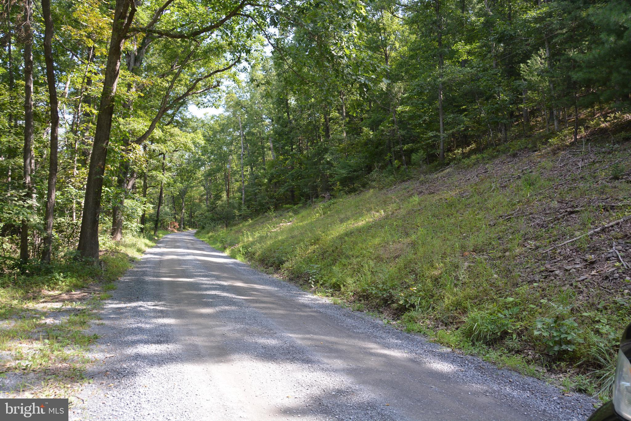Brush Creek Road, Unit 30 Winchester, VA 22603 - Photo 34 of 39 a view of a yard with plants and trees