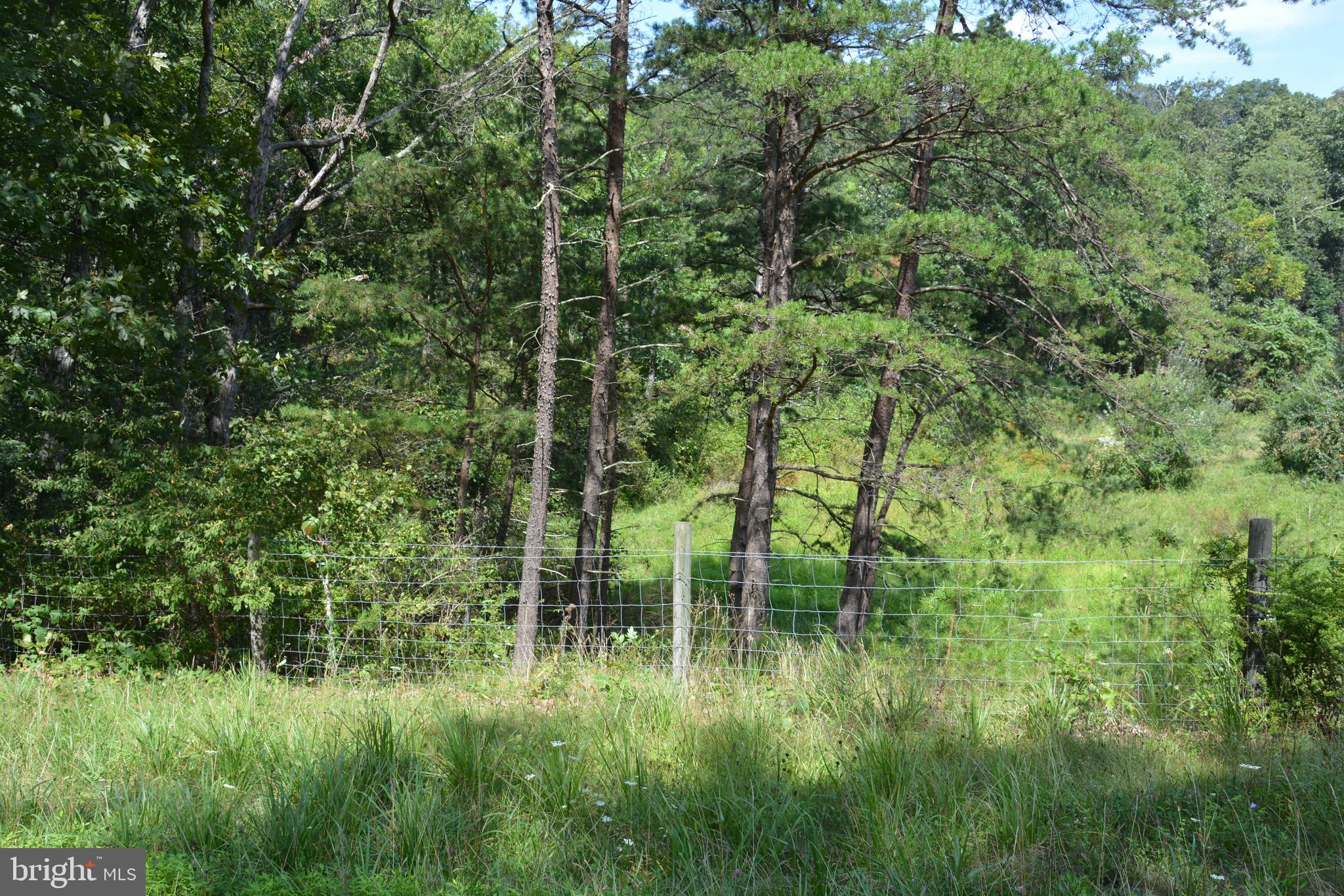 Brush Creek Road, Unit 30 Winchester, VA 22603 - Photo 38 of 39 a lush green forest with lots of trees