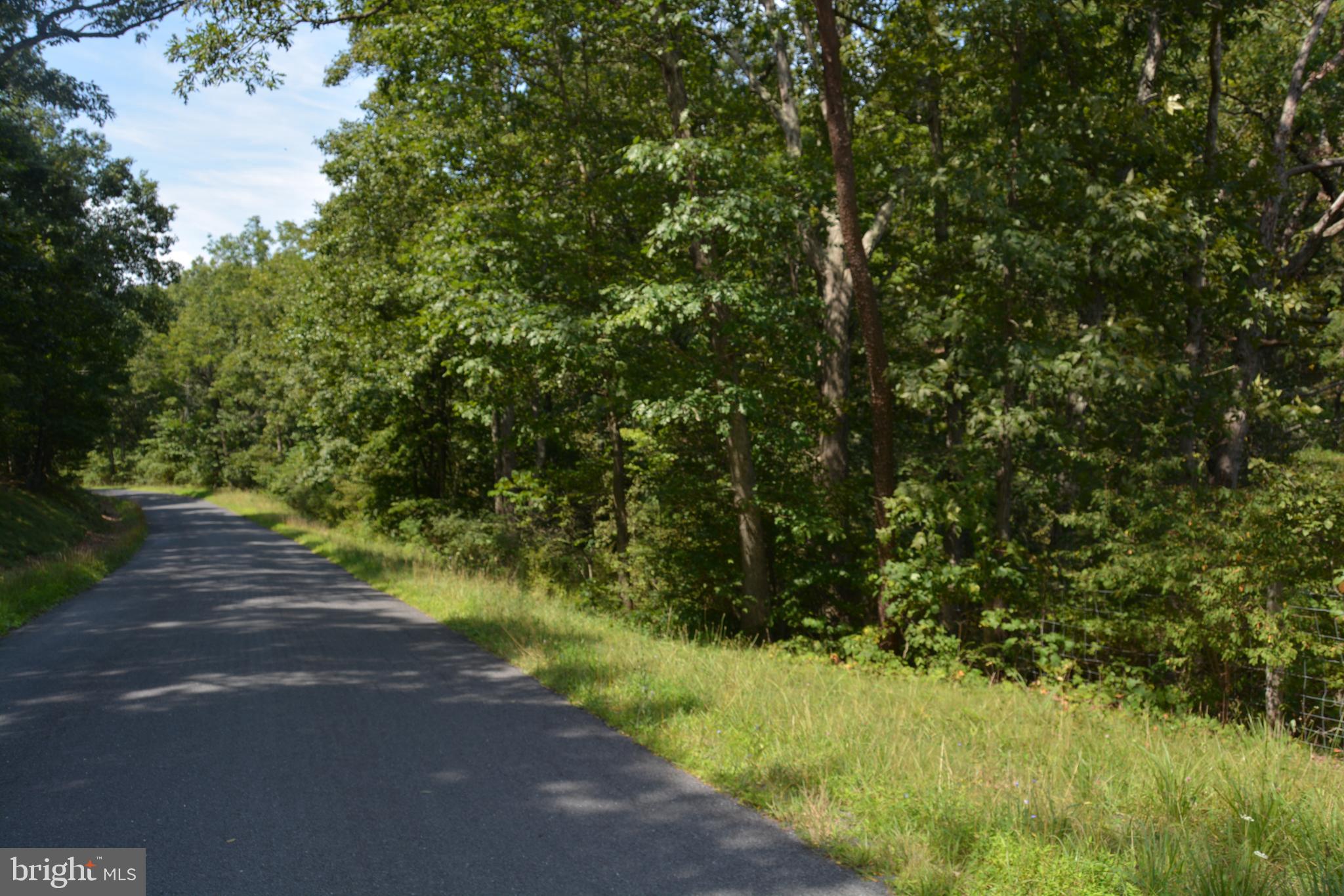 Brush Creek Road, Unit 30 Winchester, VA 22603 - Photo 39 of 39 a view of a yard with plants and a bench under it