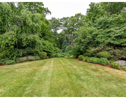 52 Crestview Road Milton, MA 02186 - Photo 22 of 25 a view of a yard with a tree