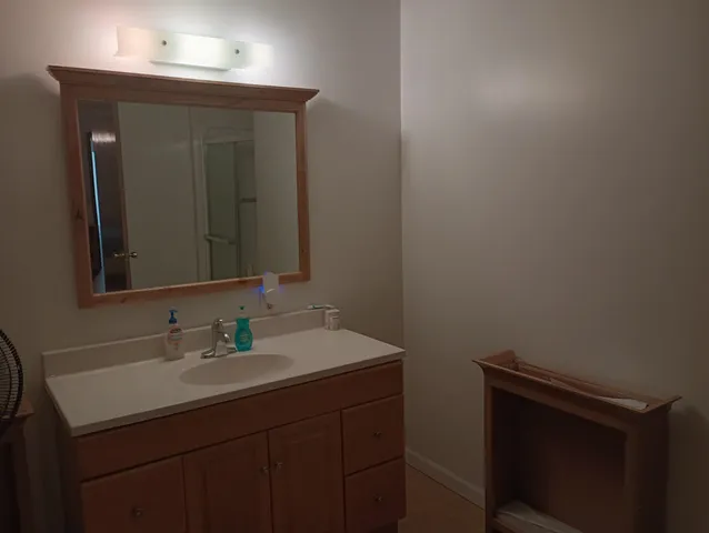 a bathroom with a sink vanity and a mirror