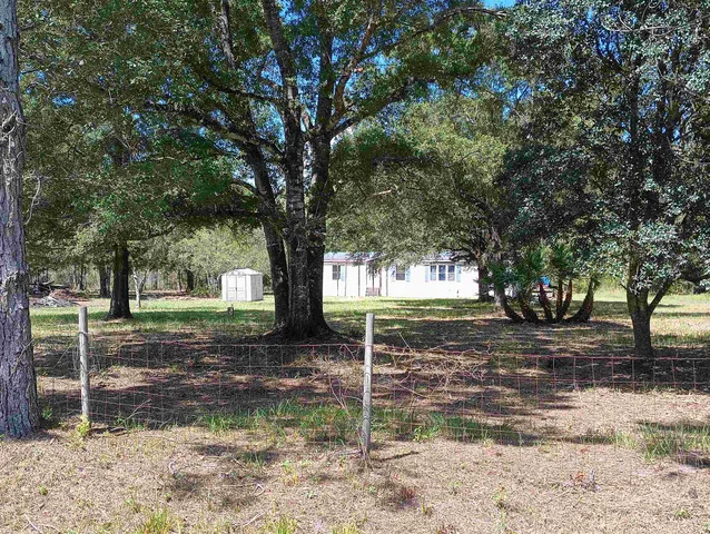a view of a yard with tree s