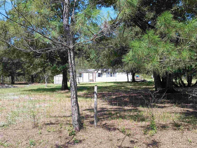 a view of a yard with trees