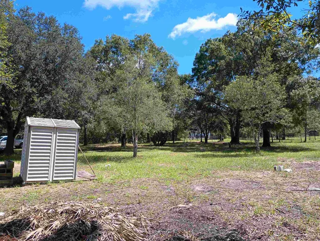 a view of a park with large trees
