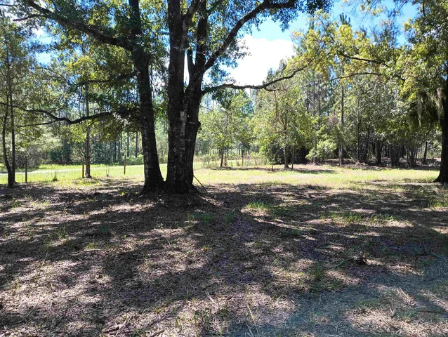a view of outdoor space with trees