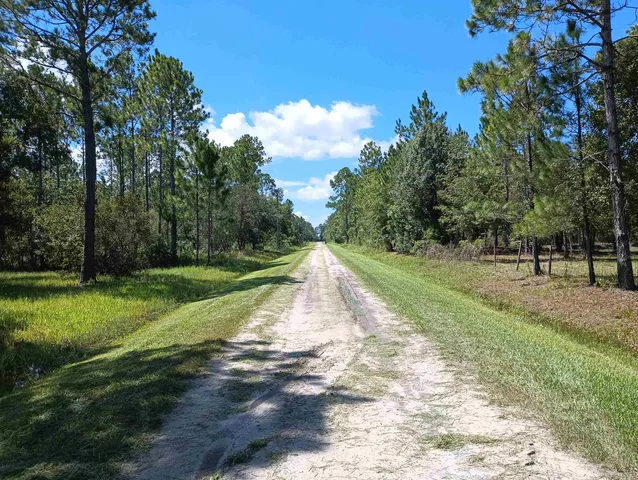 a view of backyard with green space