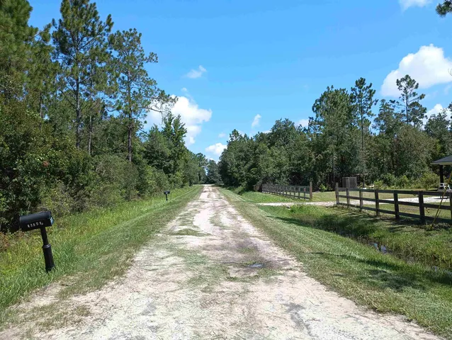 a view of a park with large trees