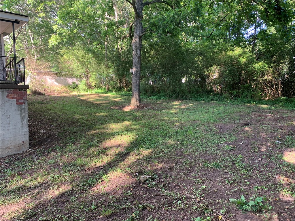300 Virginia Avenue Honea Path, SC 29654 - Photo 6 of 20 Back Yard