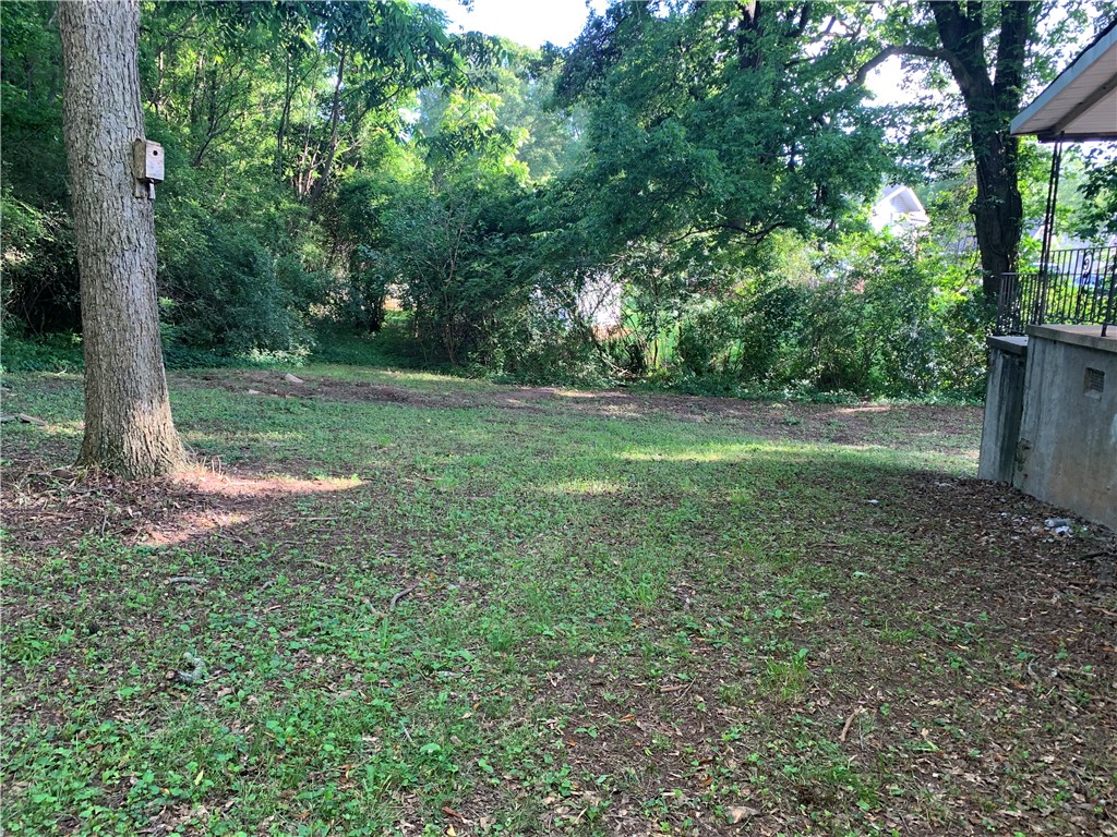 300 Virginia Avenue Honea Path, SC 29654 - Photo 7 of 20 Back Yard