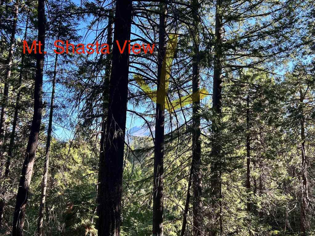 3.1-acres South Shasta Ranch Road South Mount Shasta, CA 96067 - Photo 14 of 14 Gallery Image 14