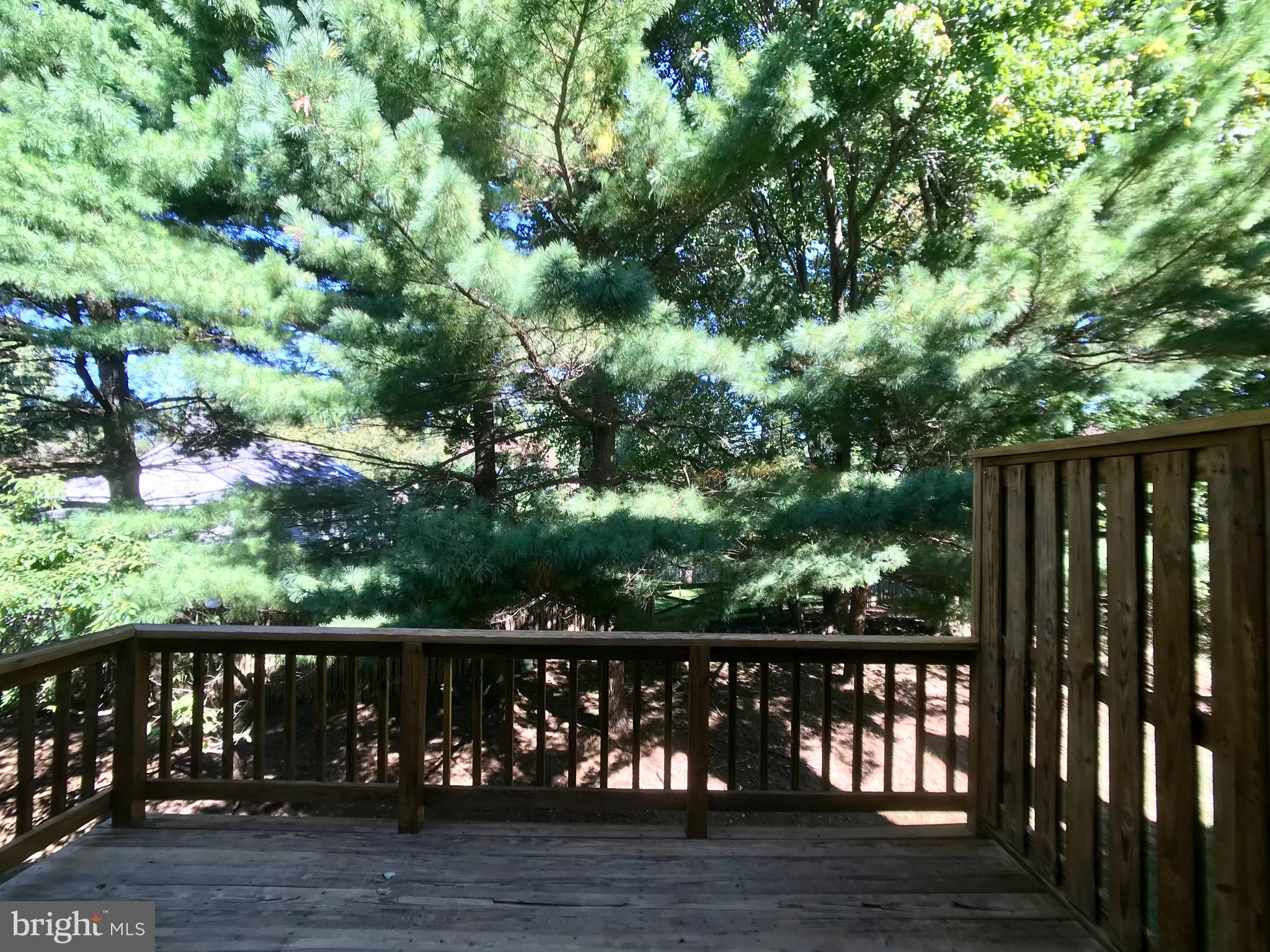 11308 Baritone Court Silver Spring, MD 20901 - Photo 14 of 56 Deck facing beautiful mature trees