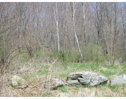 Lot 0 Walker Road Ware, MA 01082 - Photo 2 of 4
