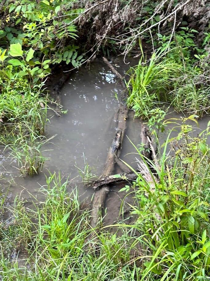 0 County Road Alton, MO 65606 - Photo 1 of 19