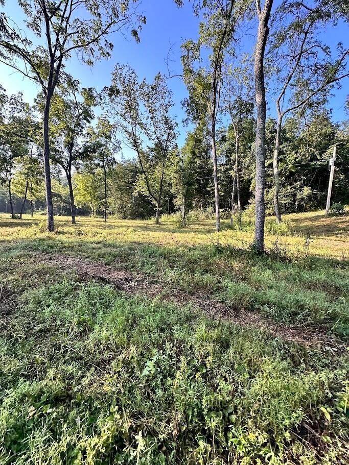 0 County Road Alton, MO 65606 - Photo 11 of 19