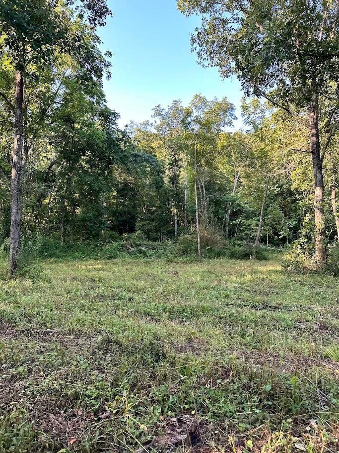 0 County Road Alton, MO 65606 - Photo 12 of 19