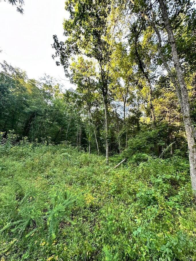 0 County Road Alton, MO 65606 - Photo 13 of 19