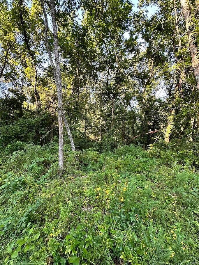 0 County Road Alton, MO 65606 - Photo 14 of 19