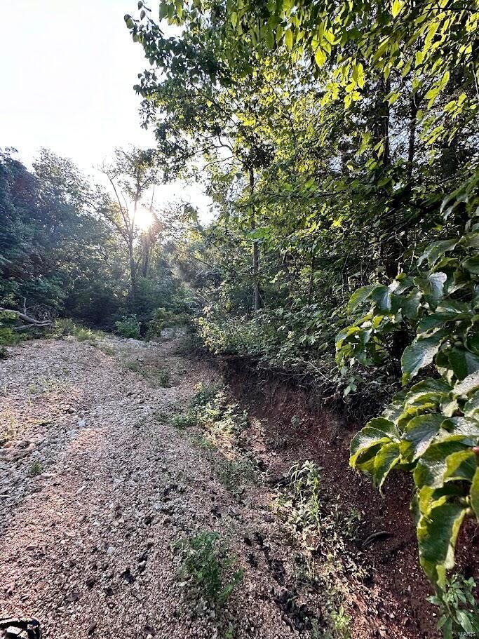 0 County Road Alton, MO 65606 - Photo 15 of 19