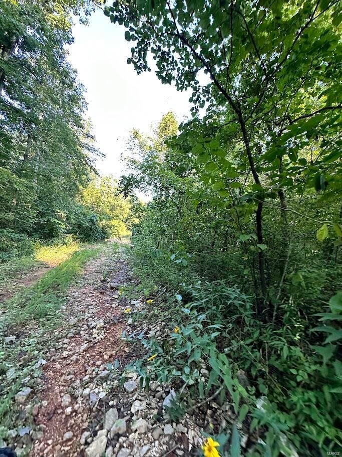 0 County Road Alton, MO 65606 - Photo 17 of 19