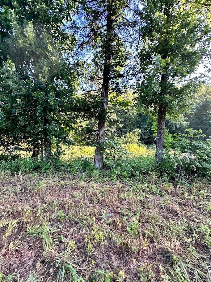 0 County Road Alton, MO 65606 - Photo 18 of 19