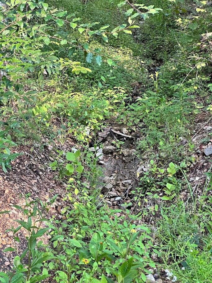 0 County Road Alton, MO 65606 - Photo 4 of 19