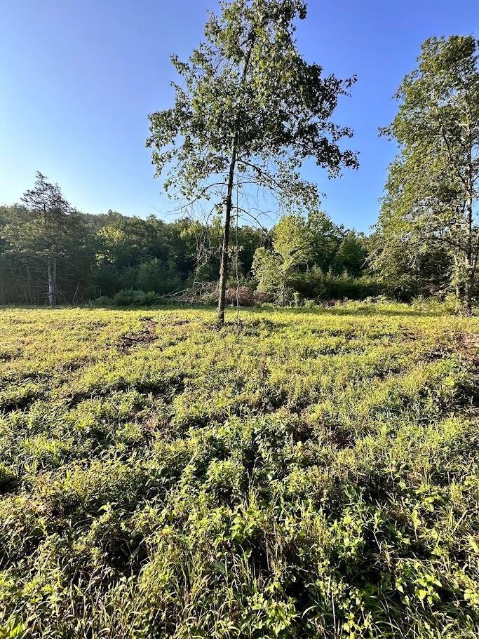 0 County Road Alton, MO 65606 - Photo 5 of 19