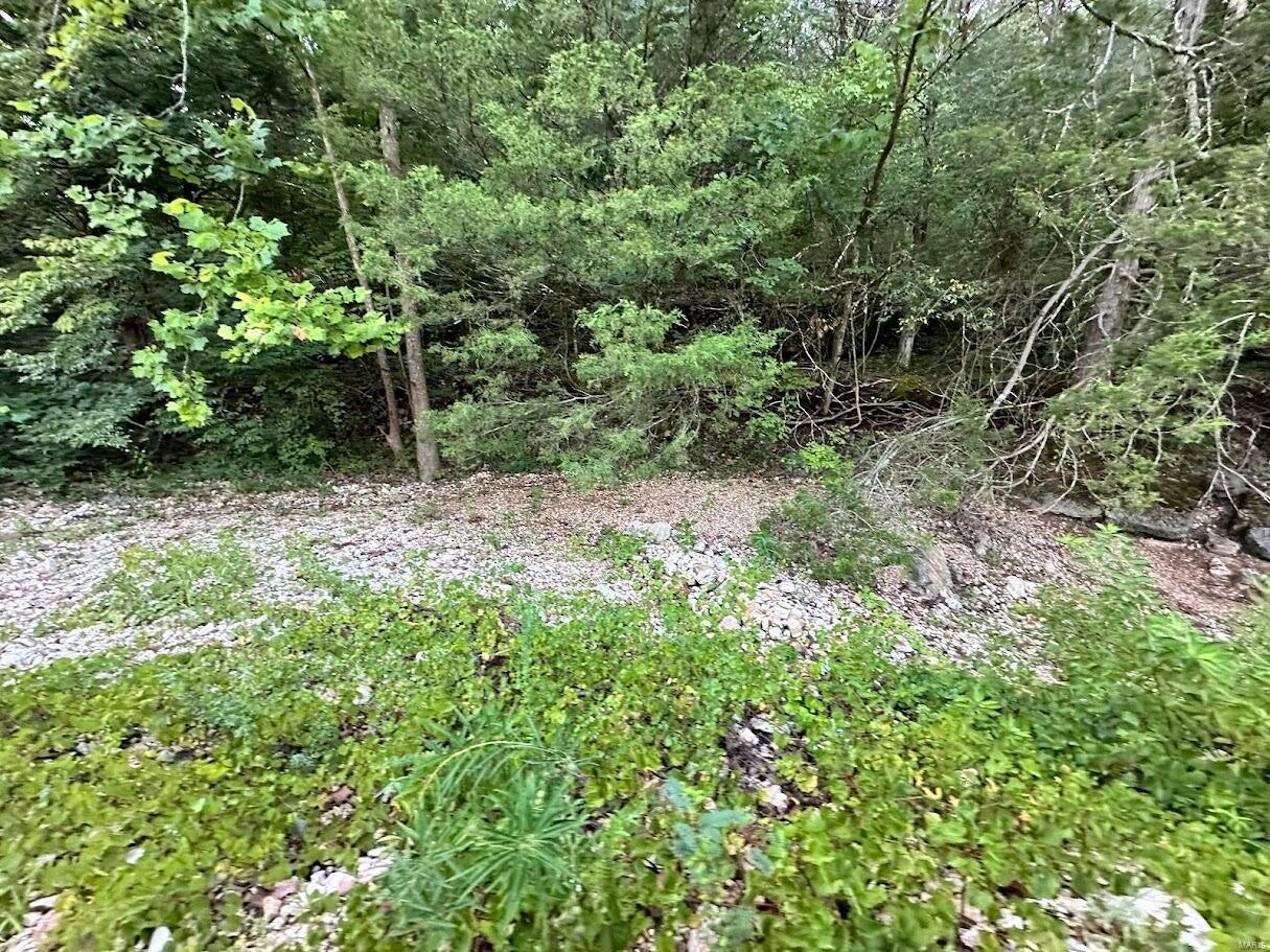 0 County Road Alton, MO 65606 - Photo 6 of 19