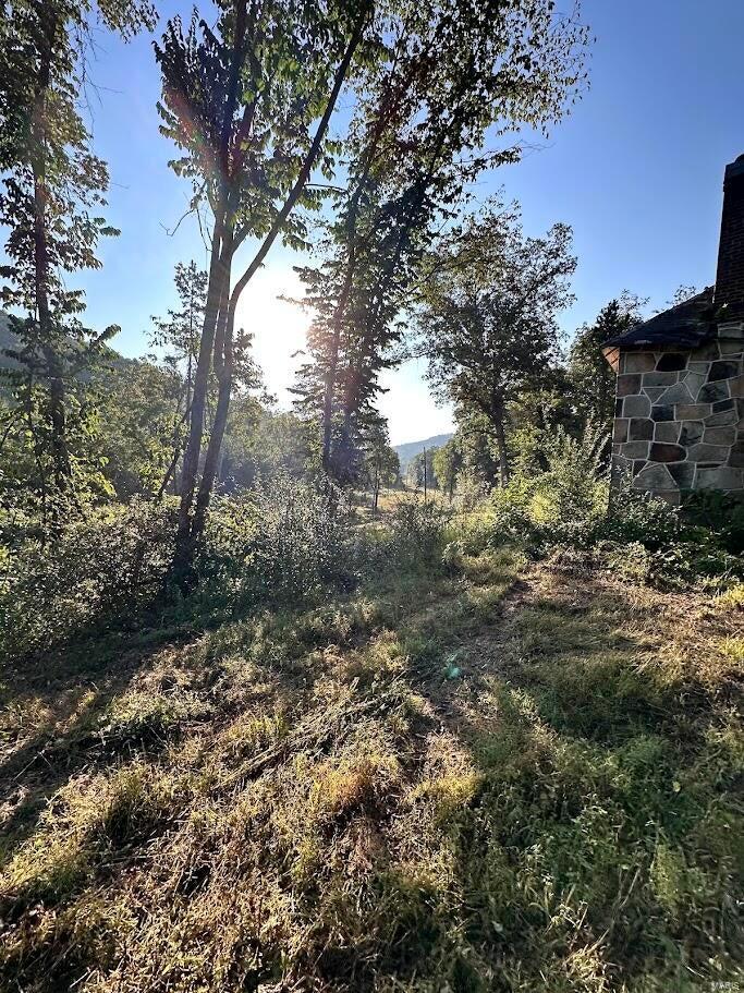 0 County Road Alton, MO 65606 - Photo 8 of 19