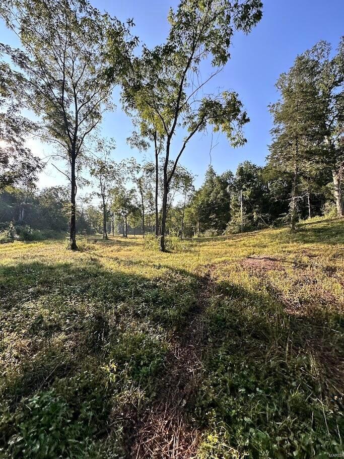 0 County Road Alton, MO 65606 - Photo 9 of 19