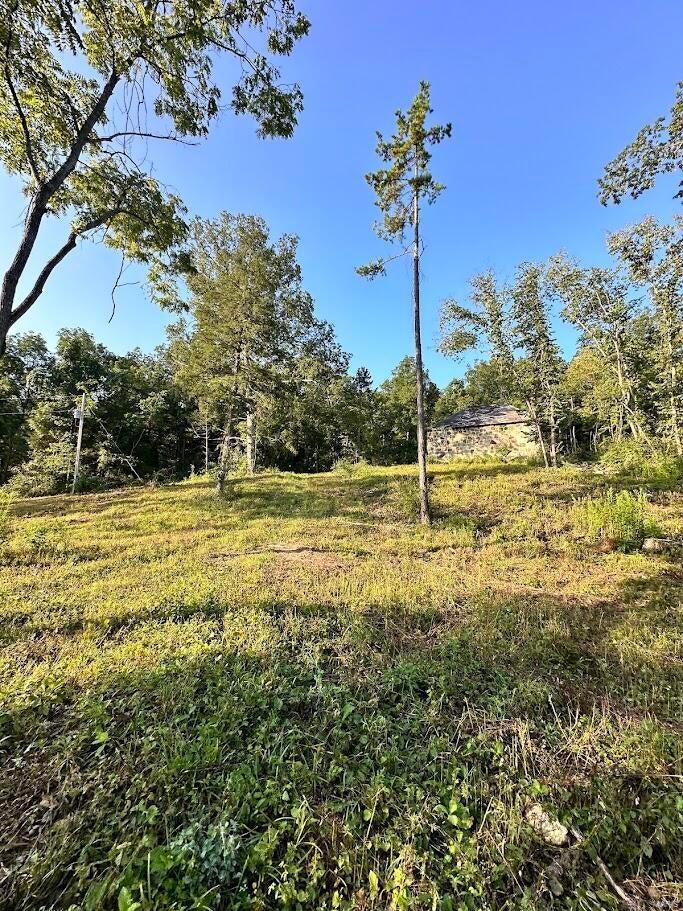 0 County Road Alton, MO 65606 - Photo 10 of 19