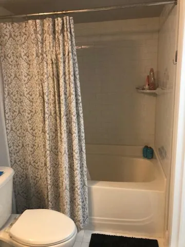 a bathroom with a toilet and a bathtub