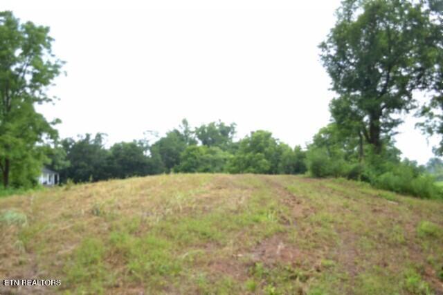 2390 Pea Ridge Fire Tower Road Celina, TN 38551 - Photo 1 of 35 USE THIS ONE AS MAIN