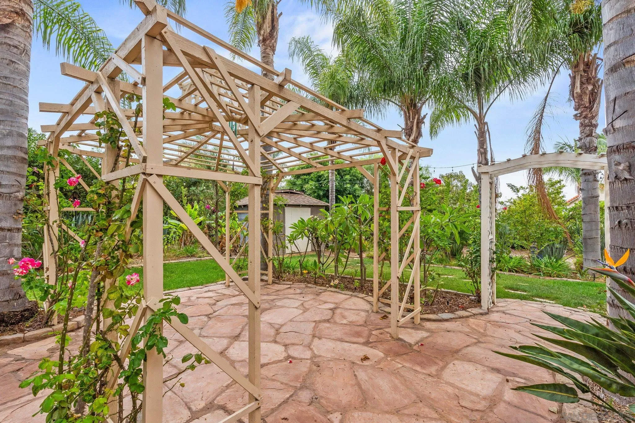 1451 Vía Lima Fallbrook, CA 92028 - Photo 6 of 41 a view of a backyard with plants and large trees