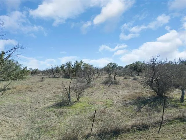 a view of a dry yard with wooden fence