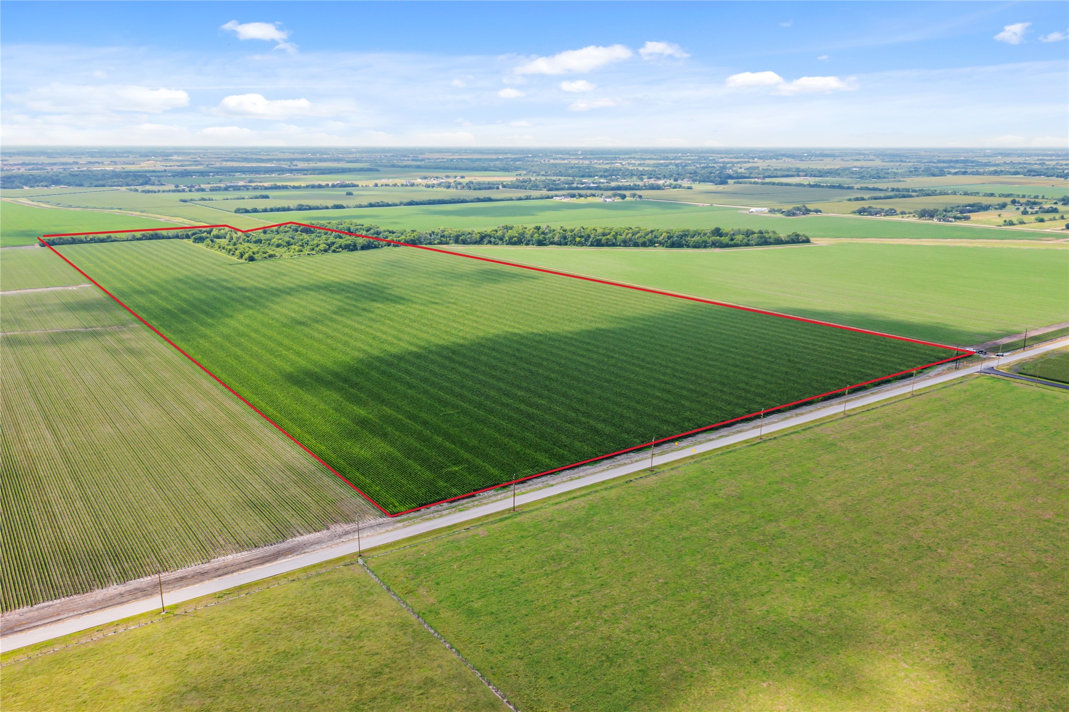 0 Kunz Road Needville, TX 77461 - Photo 13 of 13