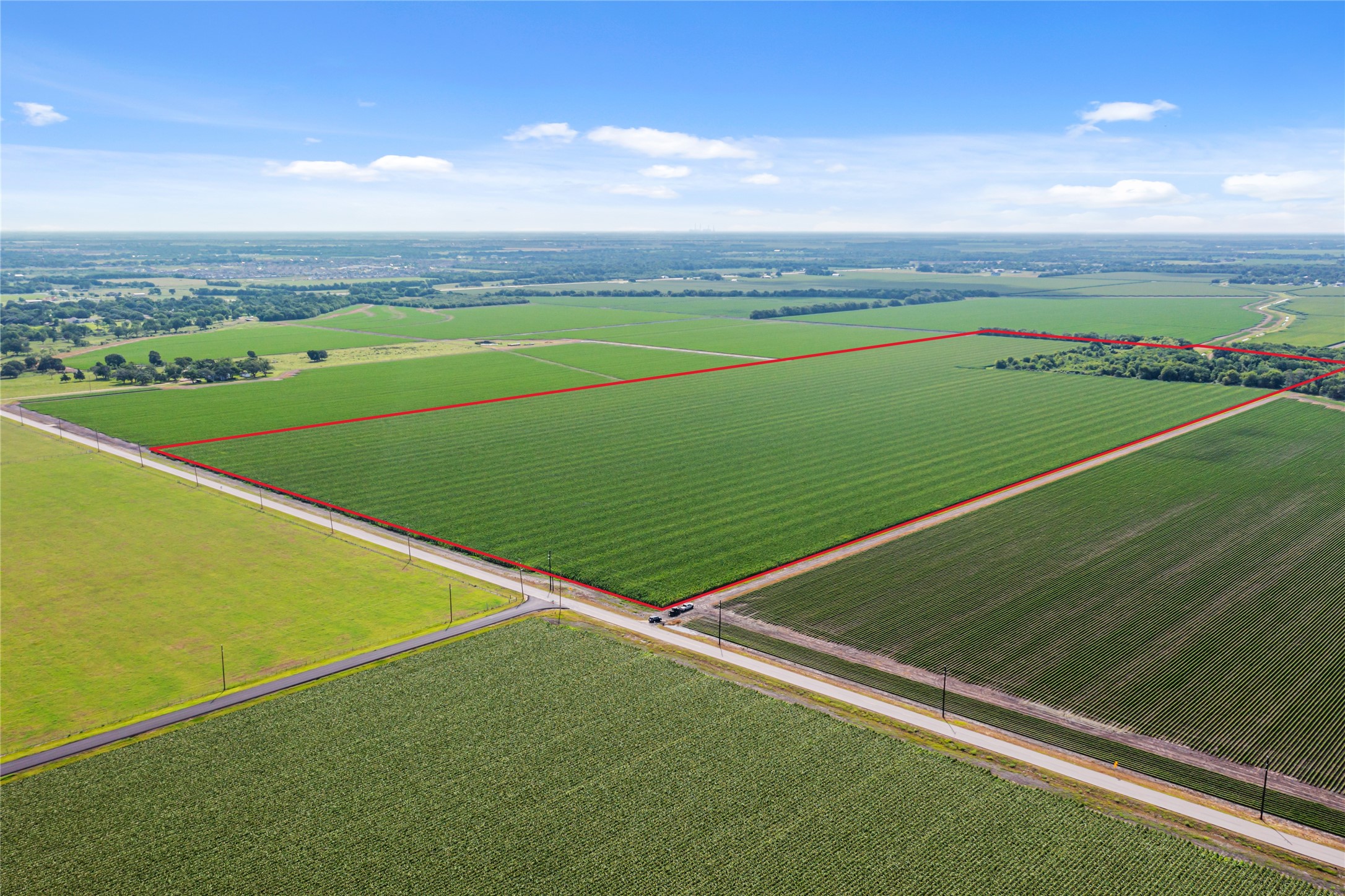 0 Kunz Road Needville, TX 77461 - Photo 3 of 13