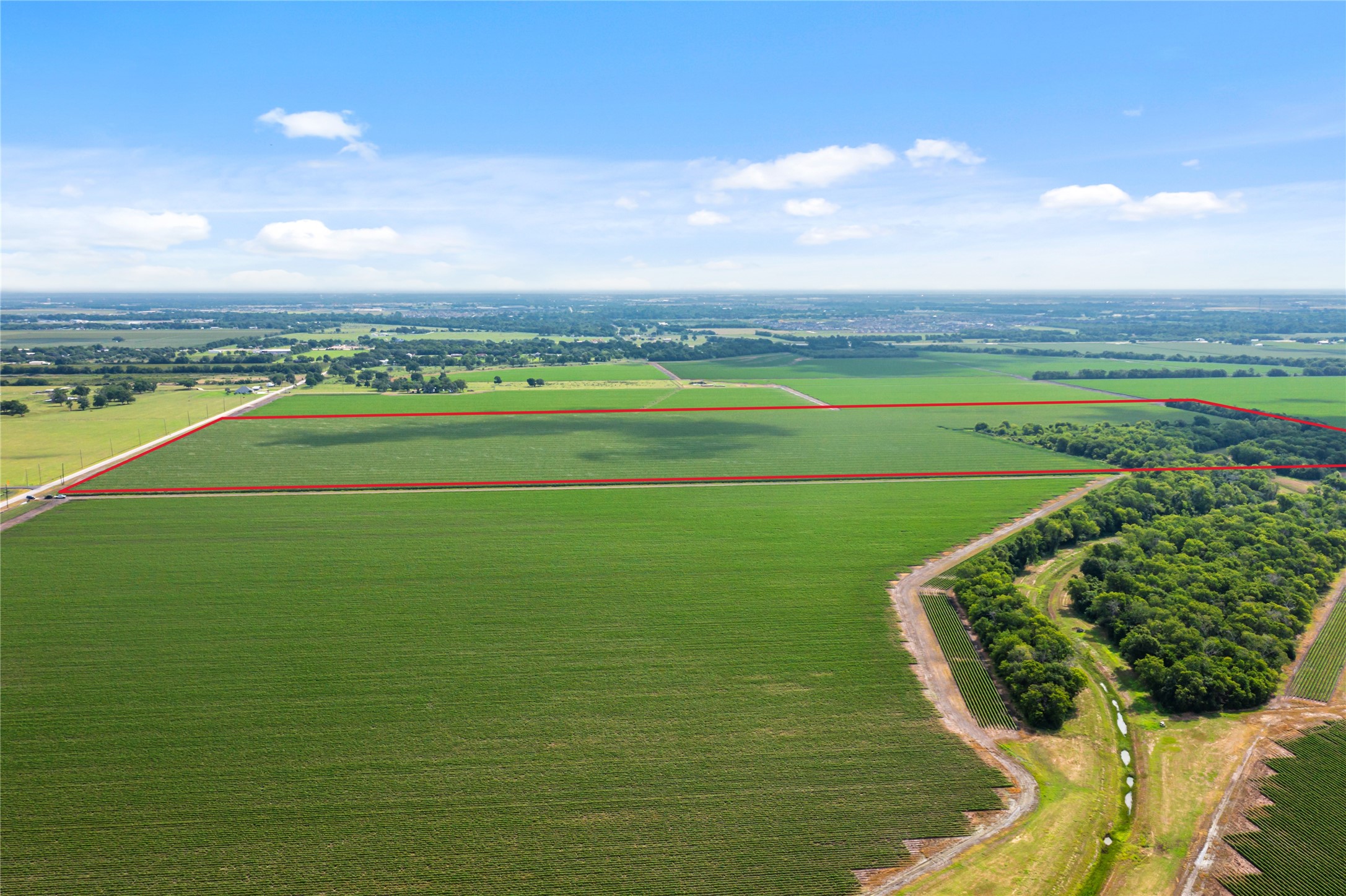 0 Kunz Road Needville, TX 77461 - Photo 4 of 13