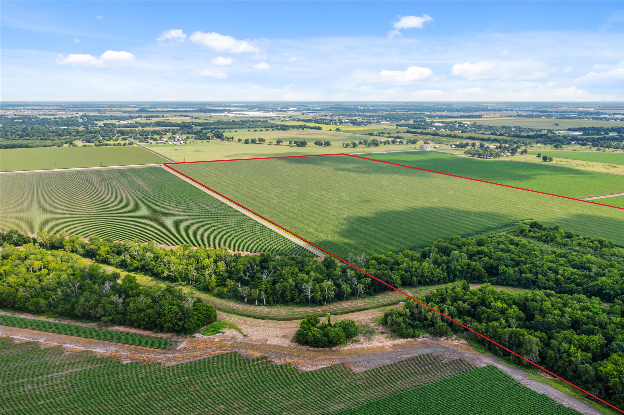 0 Kunz Road Needville, TX 77461 - Photo 6 of 13