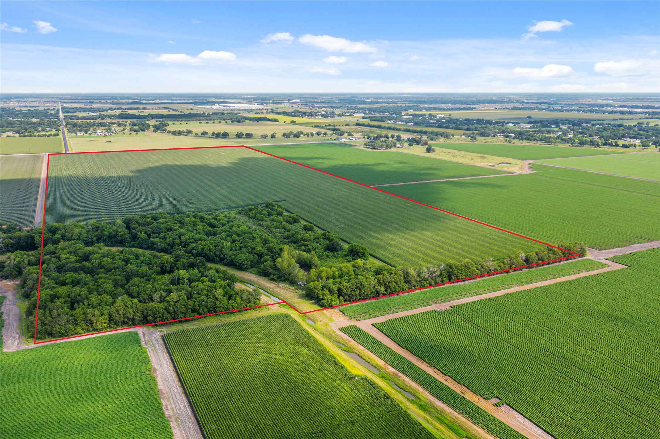 0 Kunz Road Needville, TX 77461 - Photo 7 of 13