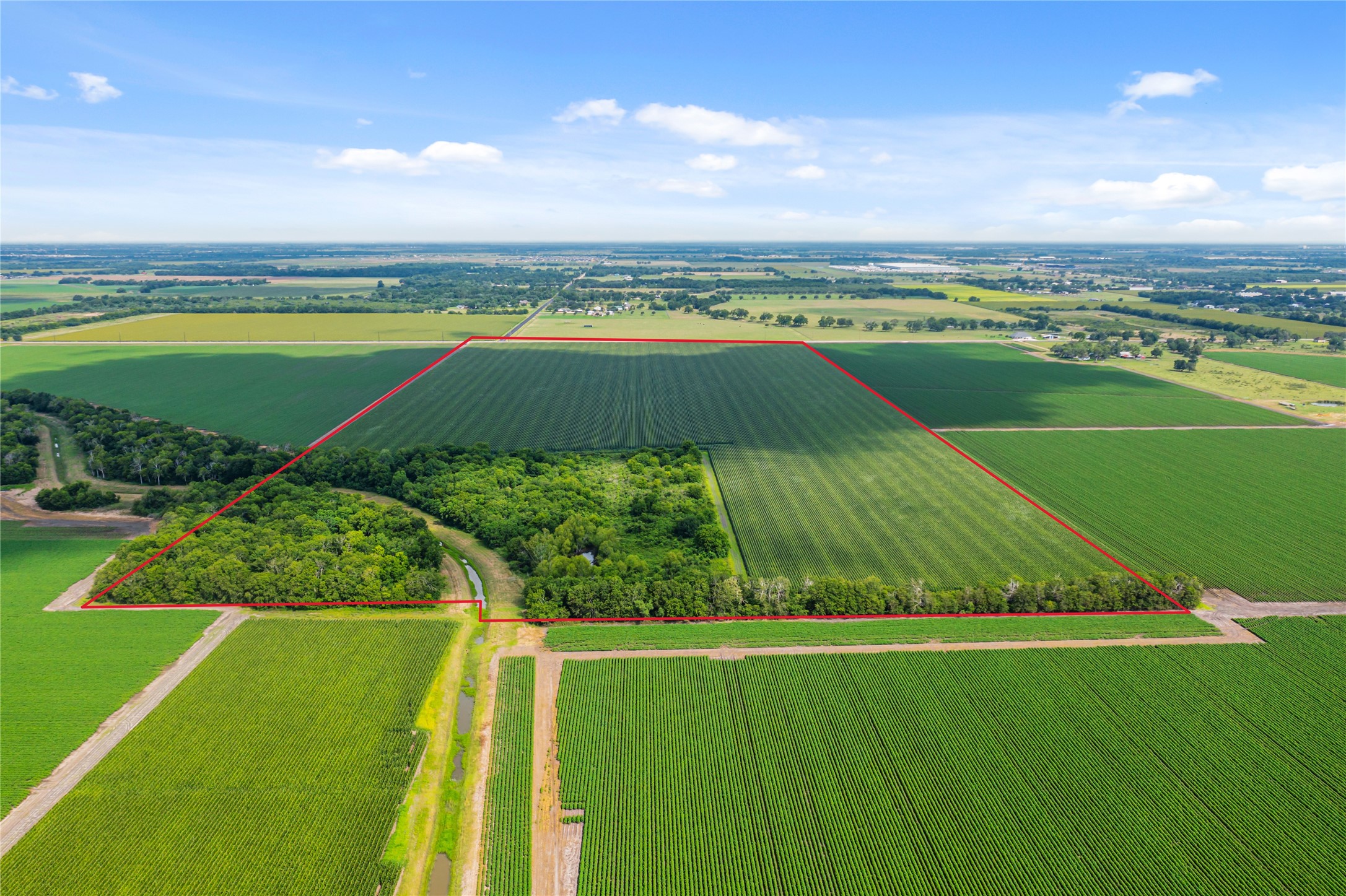 0 Kunz Road Needville, TX 77461 - Photo 8 of 13