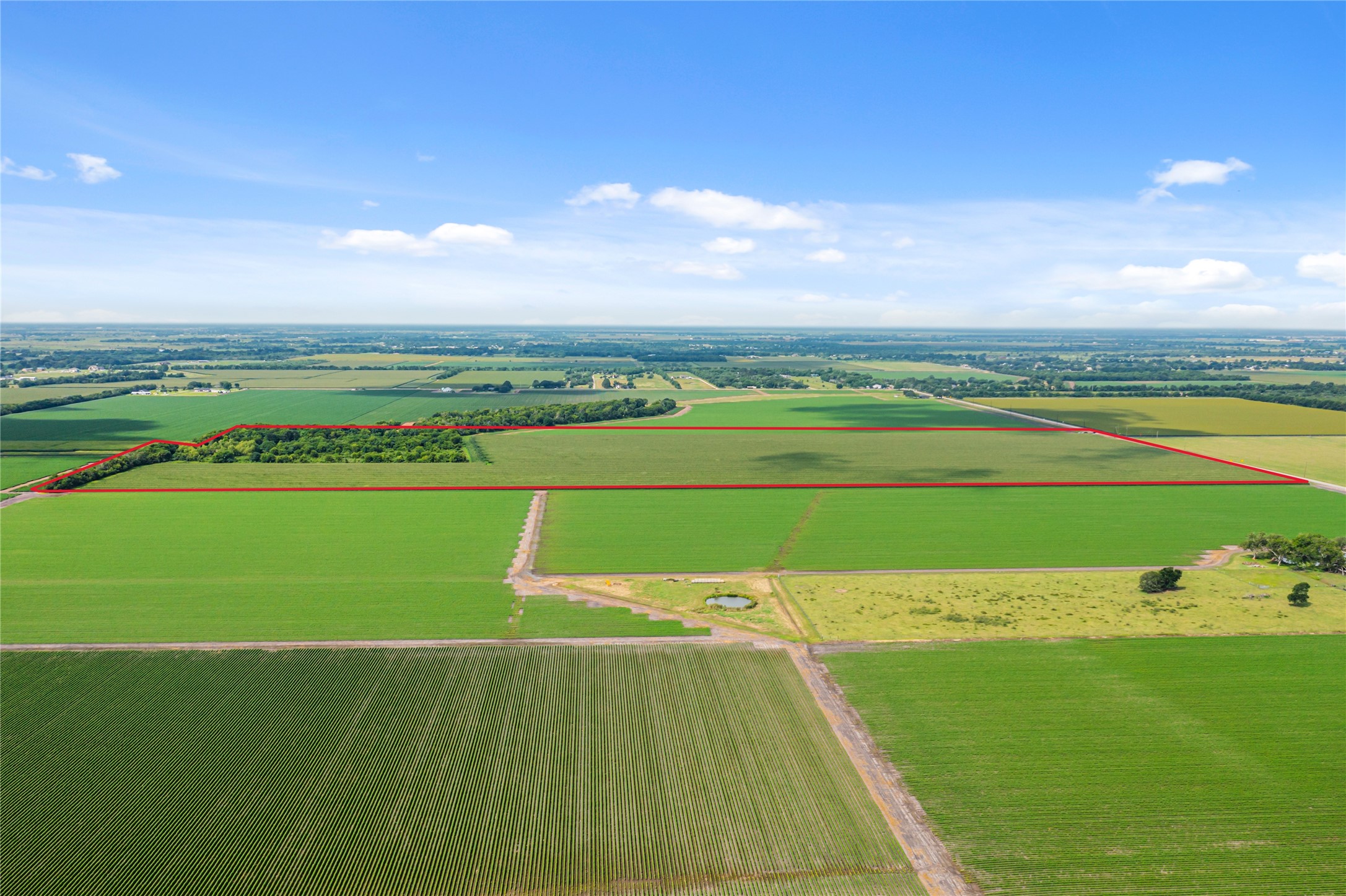 0 Kunz Road Needville, TX 77461 - Photo 10 of 13