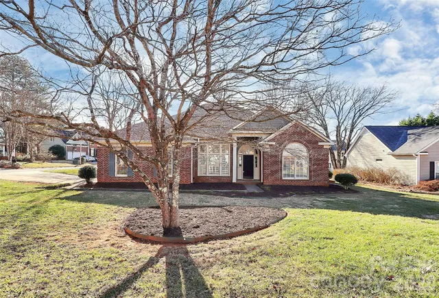 a view of a yard with a large tree