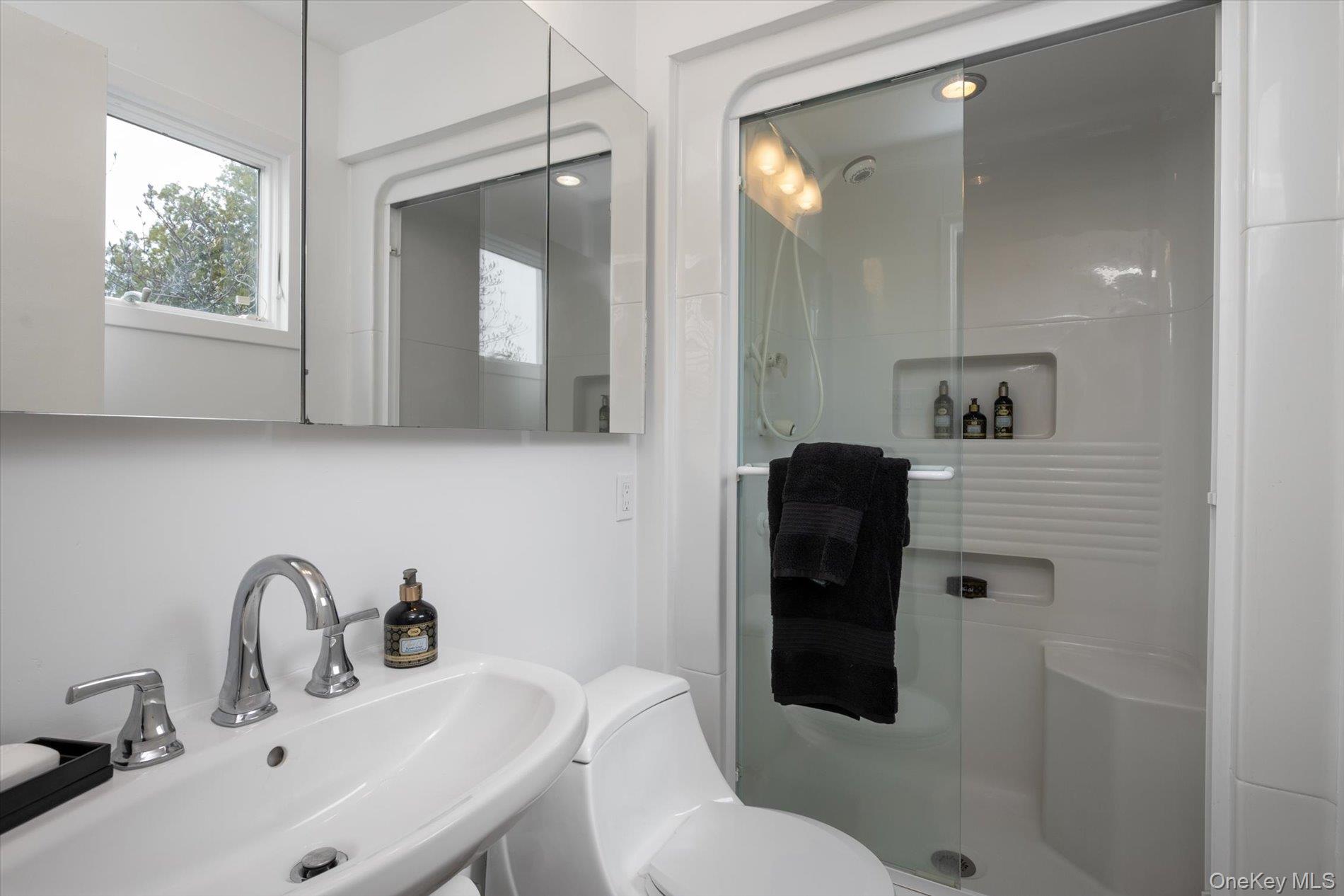 22 Delaware Avenue Jericho, NY 11753 - Photo 26 of 35 a bathroom with a toilet sink and mirror