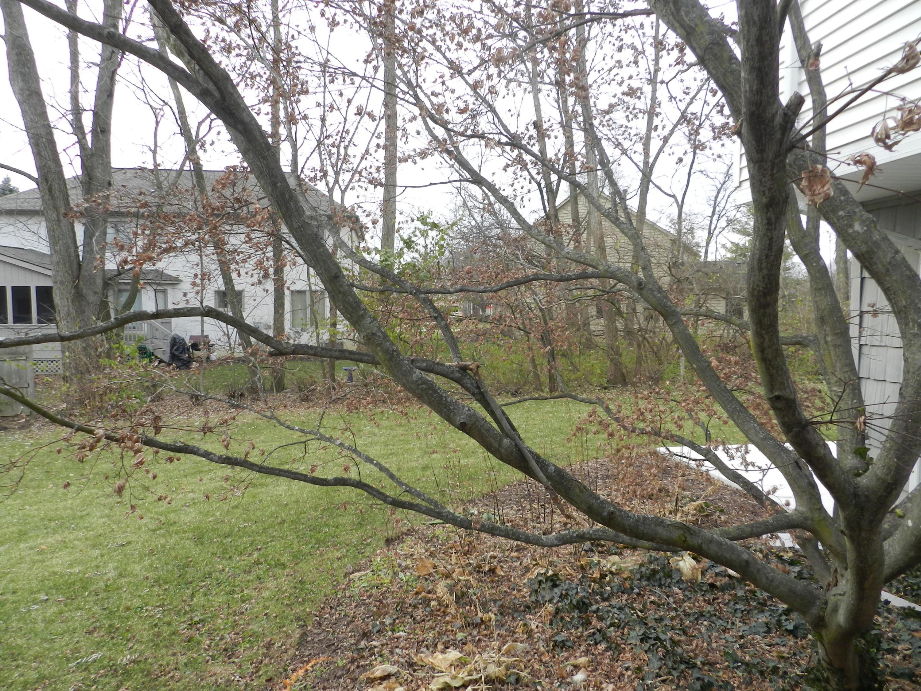 6505 Northland Road Columbus, OH 43085 - Photo 7 of 39