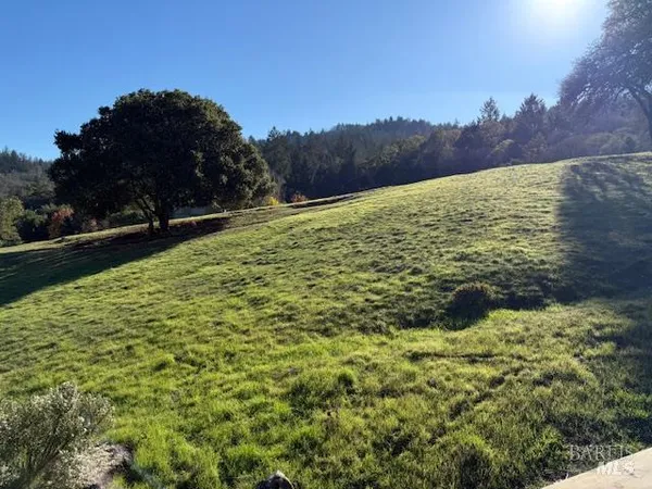 a view of a lake from a yard