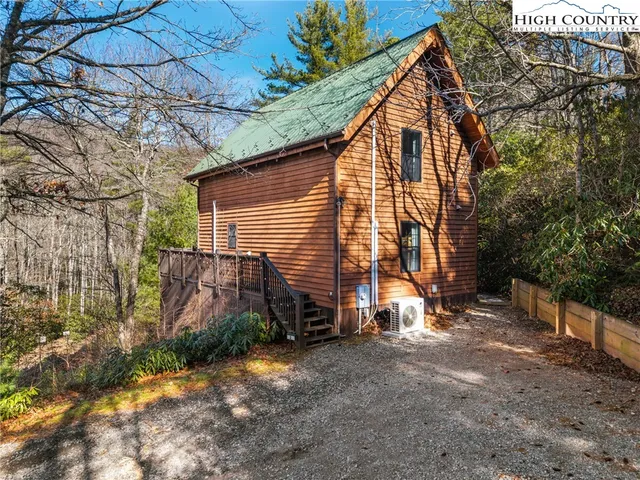 a view of a forest with a tree